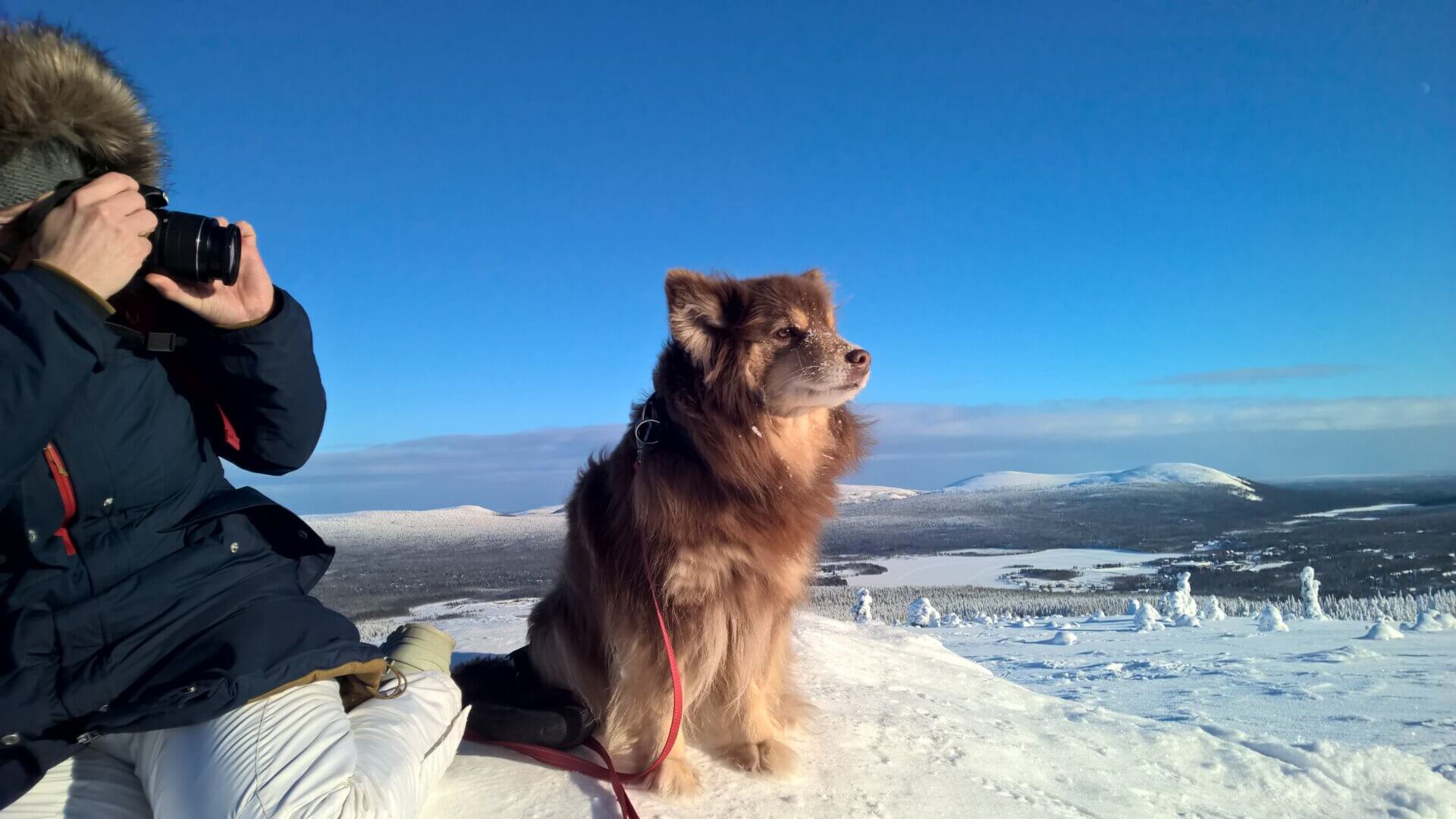 Experiencing Kuertunturi Fell in Lapland